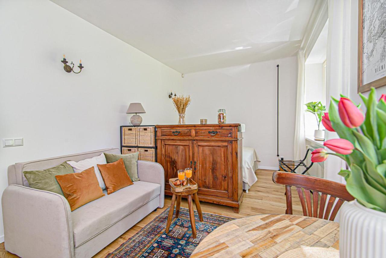 Cozy Studio In The Heart Of Vilnius Old Town المظهر الخارجي الصورة